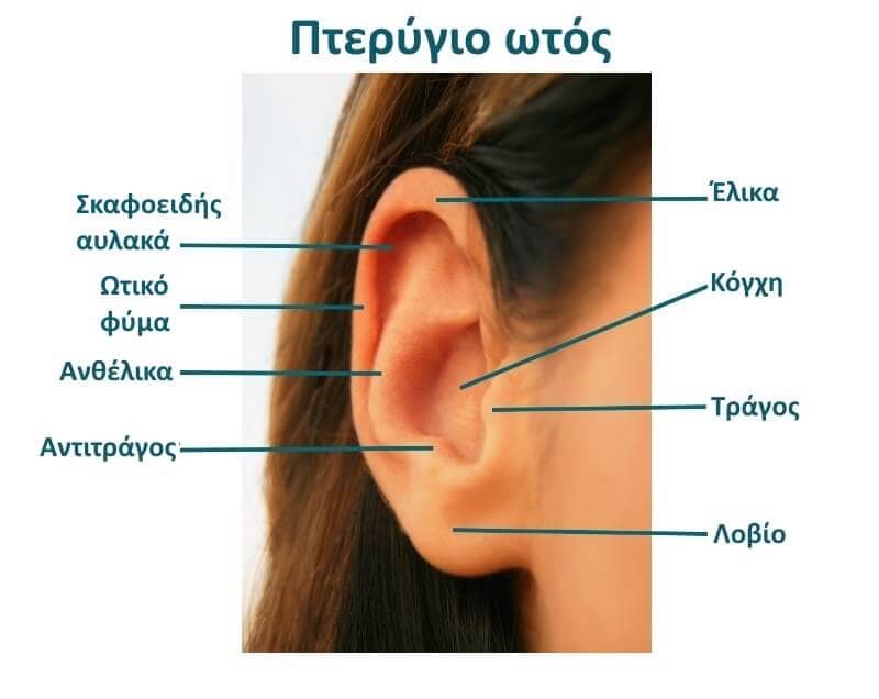 Αισθητική Χειρουργική Ωτός (Ωτοπλαστική)